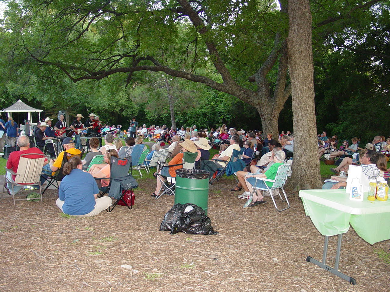 Music in the Park 2012