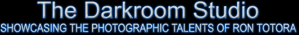 THE DARKROOM STUDIO - Showcasing the Photographic Talents of Ron Totora